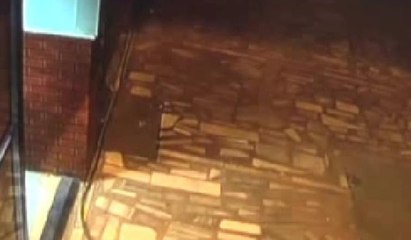 Kamera kayıtlarına baktığında şoke oldu