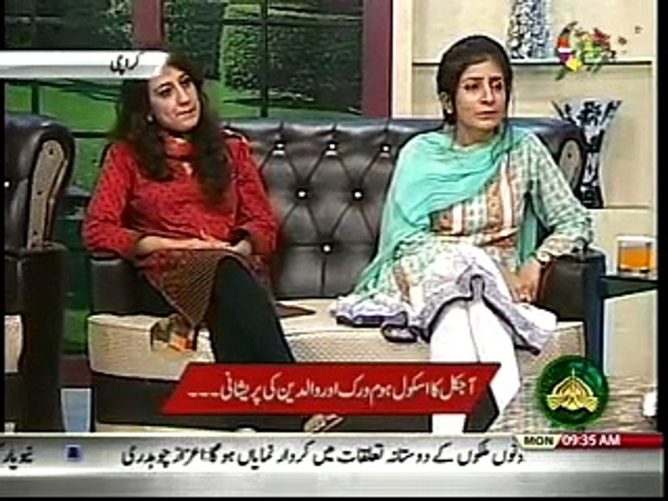Home work Analyst Raja Kashif Janjua PTV News 07-08-2017-0900-1000am (online-video-cutter.com)