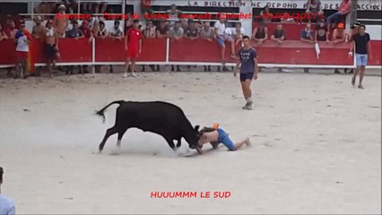 Graveson-Course de Vaches-01/08/2017-Colombet
