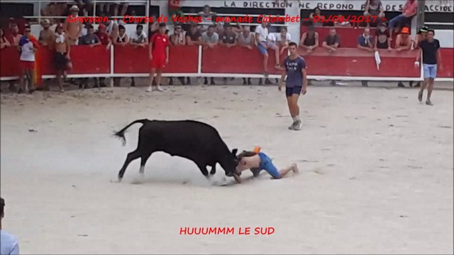 Graveson-Course de Vaches-01/08/2017-Colombet