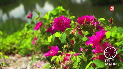 Jardin - Le jardin des sens