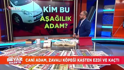 Cani adam, zavallı köpeği kasten ezdi ve kaçtı
