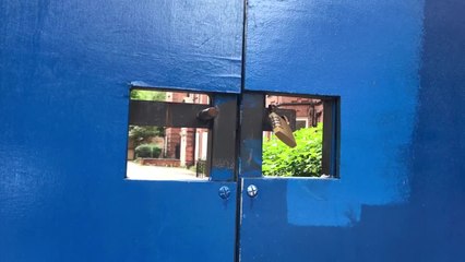 The Empty Estate That Could House ALL Grenfell Families