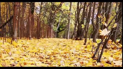 Дмитрий Колобов. Вальсирует осень.