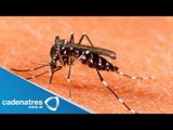 Alerta sanitaria por dengue en Aguascalientes / Brote de dengue en Aguascalientes