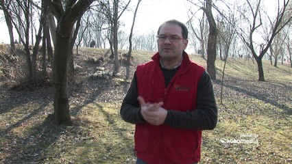 Zašto je tretiranje semena soje važna agrotehnička mera