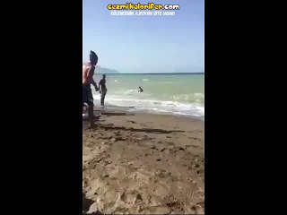 Bir Dalış Biçimi Olarak Amele Sümüğü Gibi Yapışmalamak