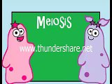 mitosis n meiosis
