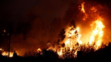 Download Video: Bombeiros voluntários na Sicília suspeitos de atear fogos