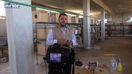 تربية الأرانب خطوة جديدة للاكتفاء الذاتي ومصدر آخر للحوم في المناطق المحررة