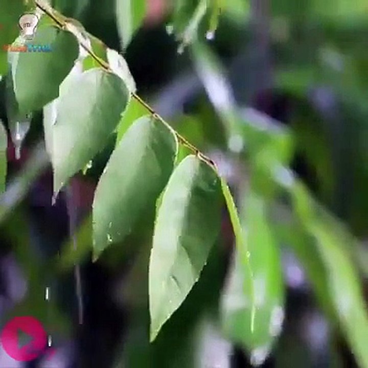 Su Şişesiyle Yapabileceğiniz 18 Farklı Araç