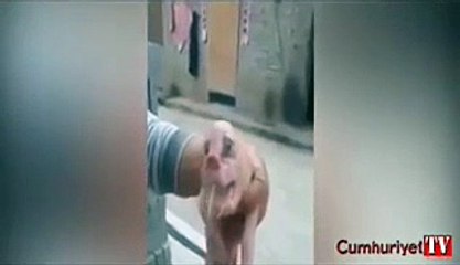 Dünya Bu Görüntüyü Konuşuyor