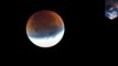 Partial lunar eclipse to take place this week