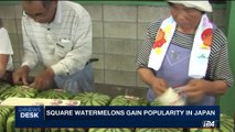 i24NEWS DESK | Square watermelons gain popularity in Japan | Monday, August 7th 2017