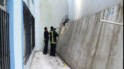 Yavru Kedi Kaçtı İtfaiye Kovaladı