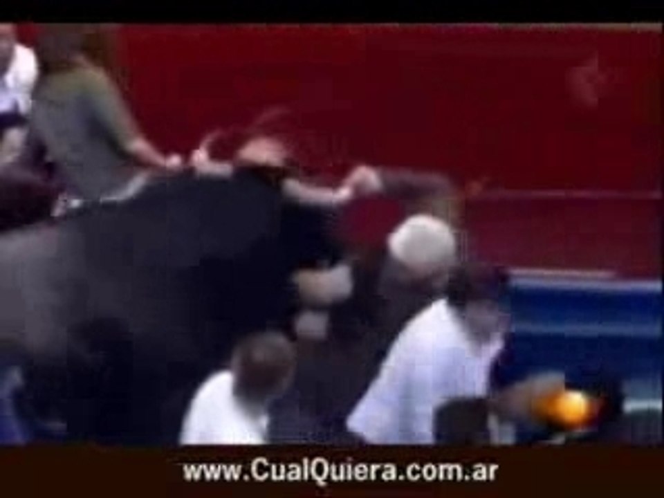 PAJARITO