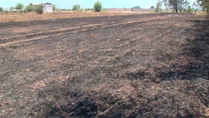 Zjarret, Makendonski brod dhe Gurgurnica janë zonat më kritike