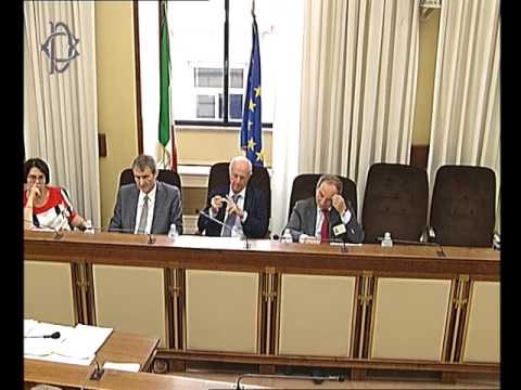 Roma - Audizione del Viceministro Casero (25.07.17)