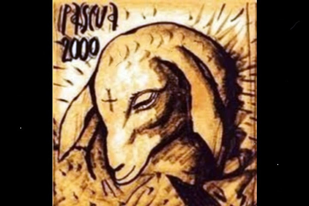 Tymoteusz