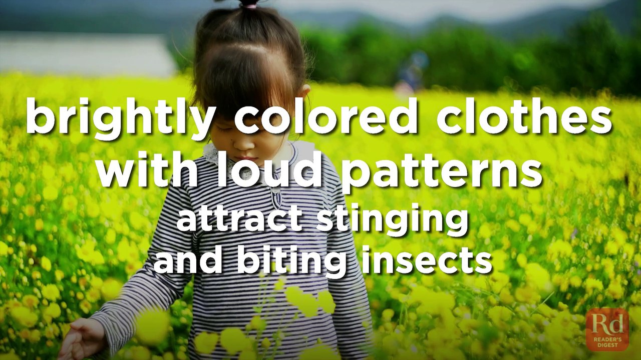 3 Tips to Avoid Insect Bites and Stings