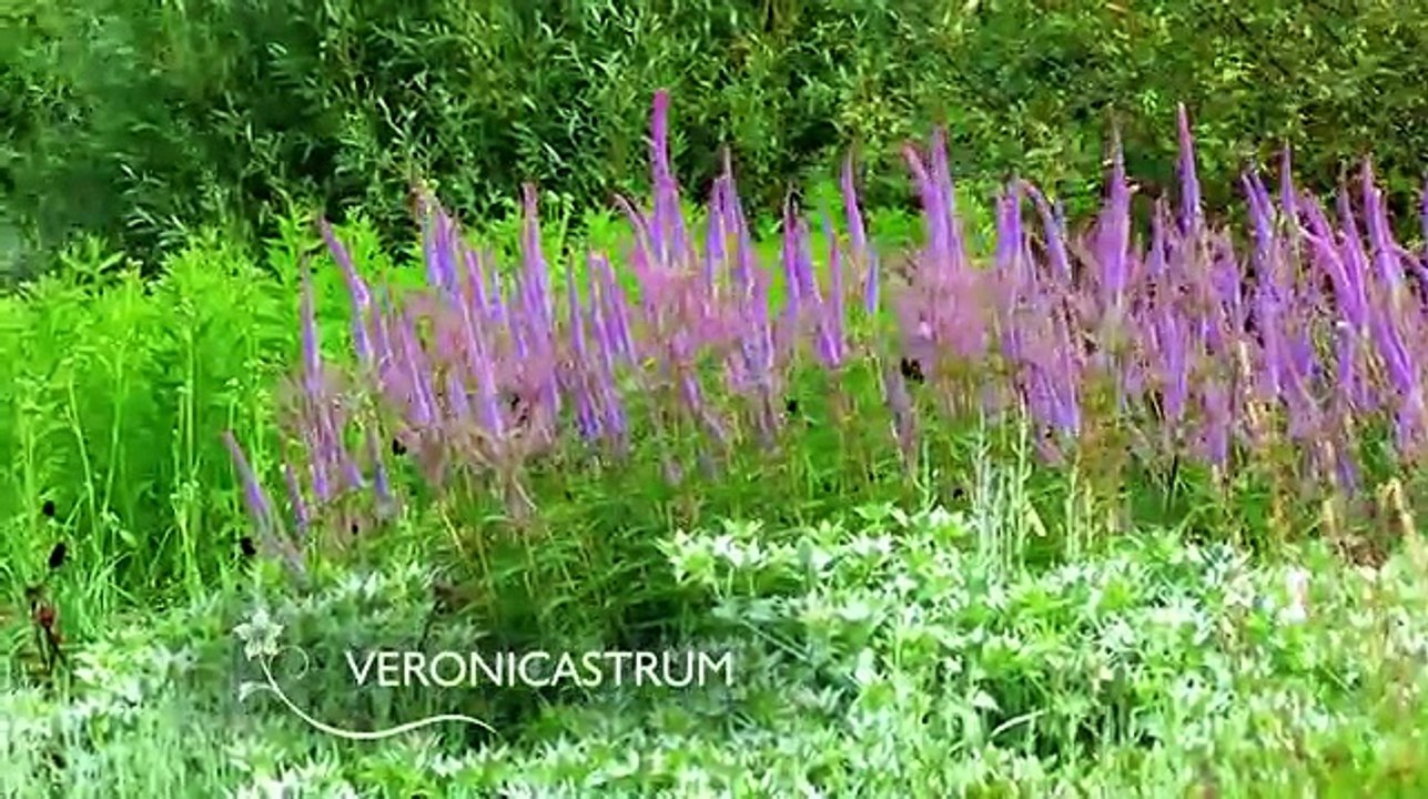 Love Your Garden Season 2 Episode 6/6 (July 31, 2012)