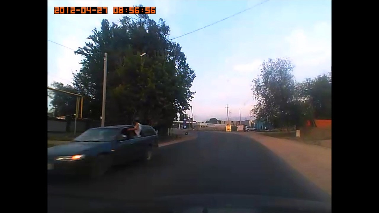 Horses get too Close for Comfort