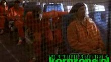 David Silveria In Martial Law