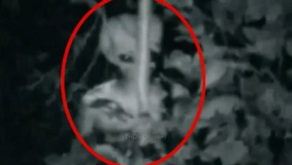 Ovni Ufo - La Verité Devoilé , Nous Ne Sommes Pas Seuls !!!