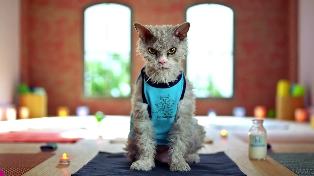 Wheel Alignment Scottsdale AZ | Honda Wheel Alignment Scottsdale AZ