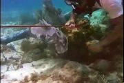 Bikini girls diving [scuba peril drowning]