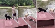 Cães correm para salvar o seu dono que simula estar em apuros na água