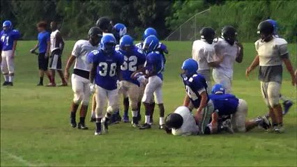 A.Z. WINSTON ( RB )2016 OFFENSIVE HIGHLIGHTS MASSAPONAX PANTHERS FOOTBALL