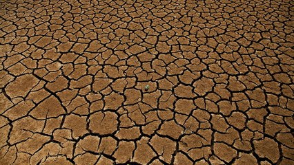 Calor e tempestades no verão europeu