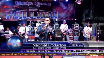 Baju Satu Kering di Badan - Brodin - NEW PALLAPA - Trimulyo (Ngerang) (MAX-PRO SHOOTING)