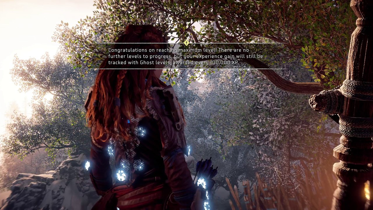 Horizon Zero Dawn™_20170807212410