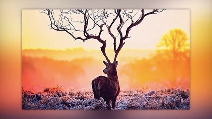 ثلاثون 30 صورة لا تفهمها غلط عليك أن تراها مرتين قبل الحكم عليها