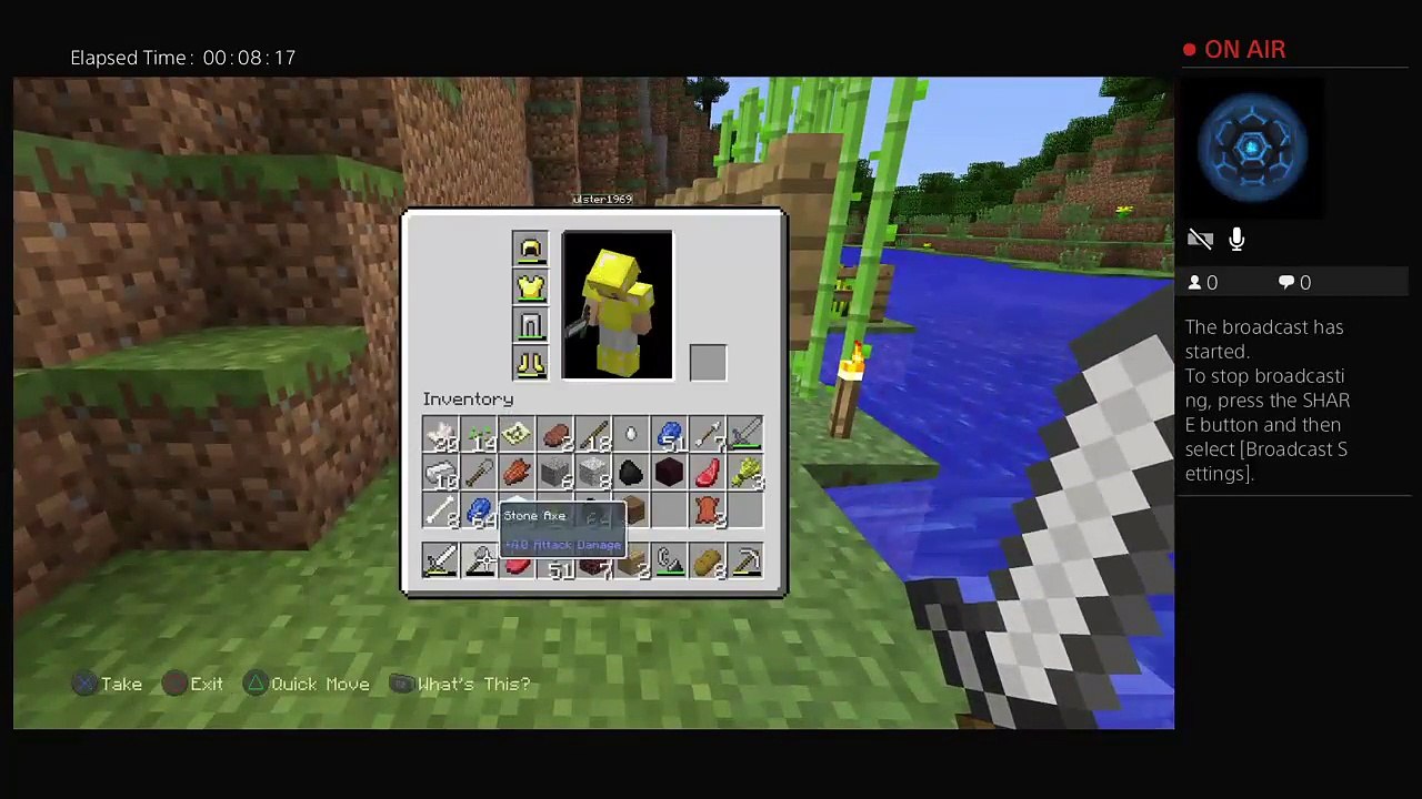 Minecraft (15)