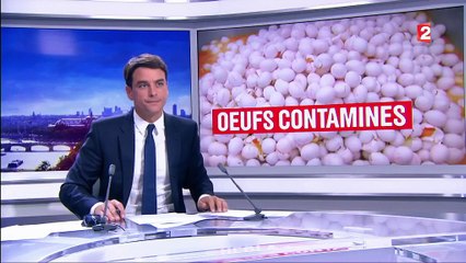 Le scandale des oeufs contaminés au fipronil touche désormais la France