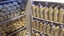 Mom Donates More Than 600 Gallons Of Breast Milk