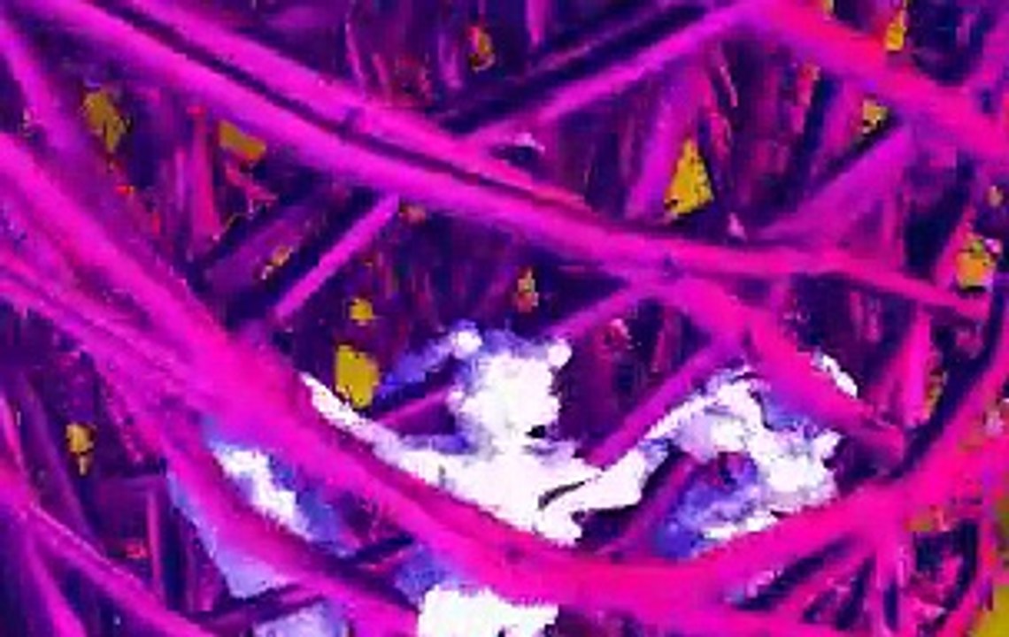 美少女戦士セーラームーン 25周年プロジェクト記念！セガサターンで見る！美少女戦士セーラームーン SuperS Various Emotion その1 プレイ動画。