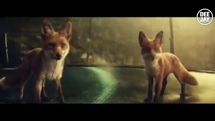 È arrivato lo spot di Natale di John Lewis ed è dolce e ironico allo stesso tempo