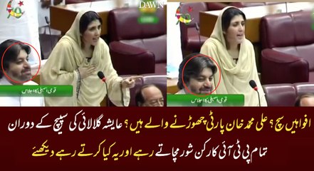 What Ali Muhammad Khan Was Doing During Ayesha Gulalai Speech..