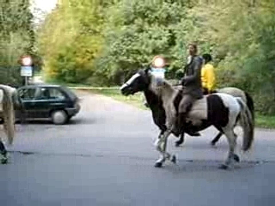 Rally Ardichamps 21.10.07 et elles se perdent