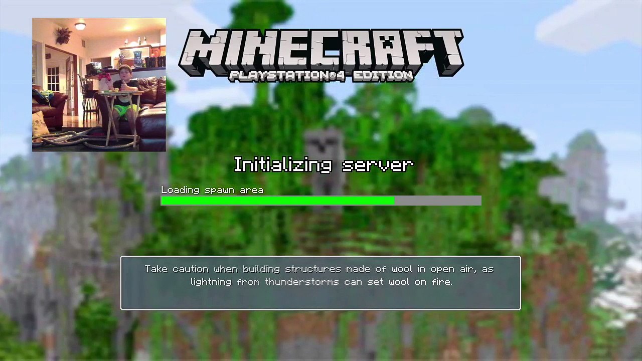 Minecraft (29)