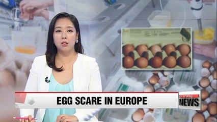 : Insecticide-tainted eggs prompt food safety scare in Europe