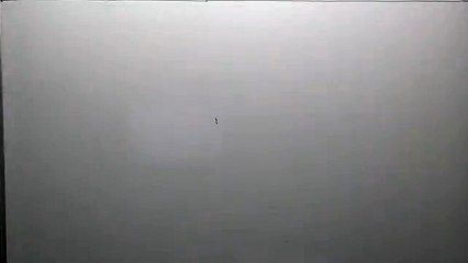 CA IPCC INSURANCE COMPANY PART 1