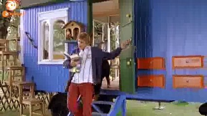 Löwenzahn Buch: Natur entdecken 🌼