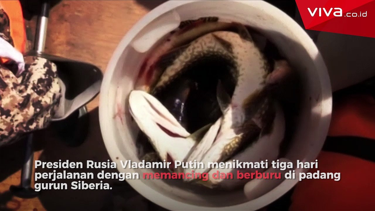 Putin Selami Danau Tertua dan Terdalam di Dunia