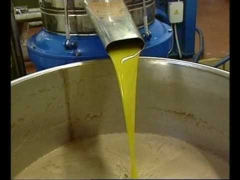 OLIVICOLTURA PUGLIA. Una risorsa che puo' generare ricchezza