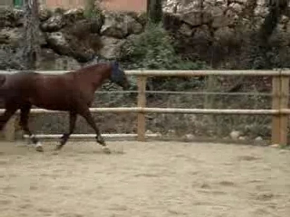 °• 1er Montage Sur Kiss Me Et MOi •°